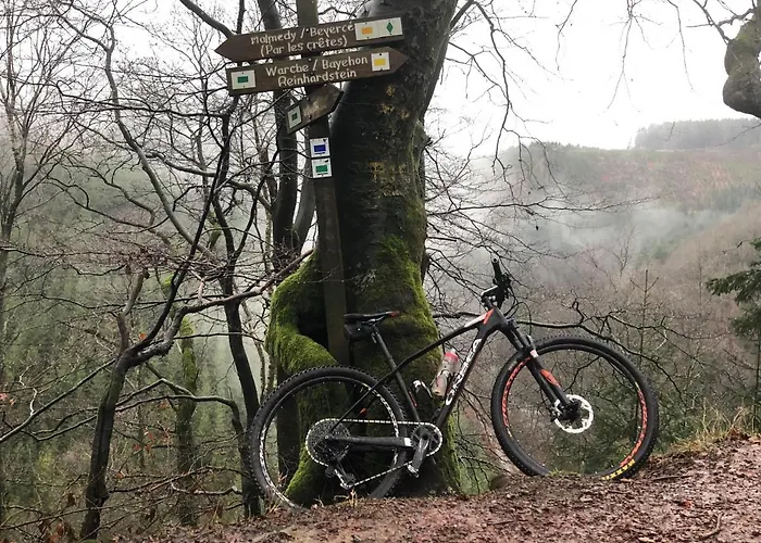 By Chris * 말메디