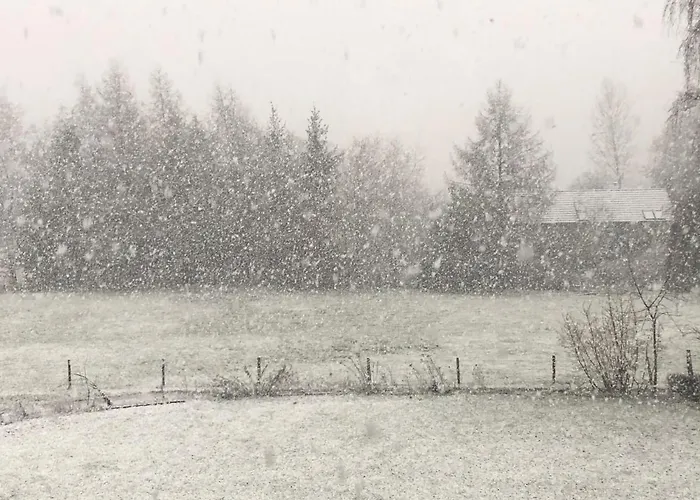 By Chris * 말메디